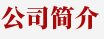 公司简介